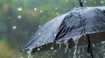 موعد ذروة الشبورة ومناطق سقوط الأمطار المتوقعة في طقس الخميس 5 مارس